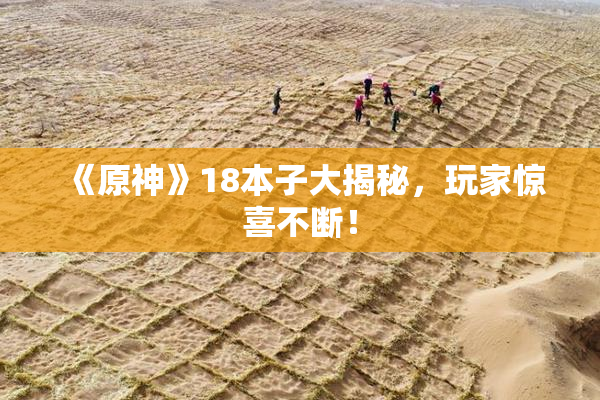 《原神》18本子大揭秘，玩家惊喜不断！