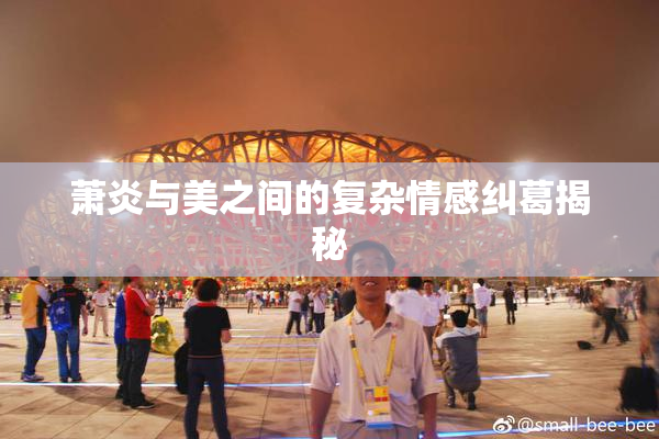 萧炎与美之间的复杂情感纠葛揭秘