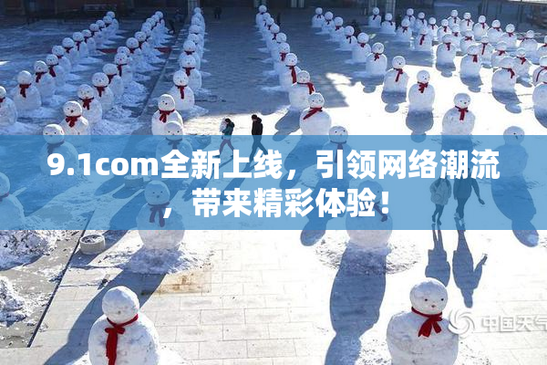 9.1com全新上线，引领网络潮流，带来精彩体验！