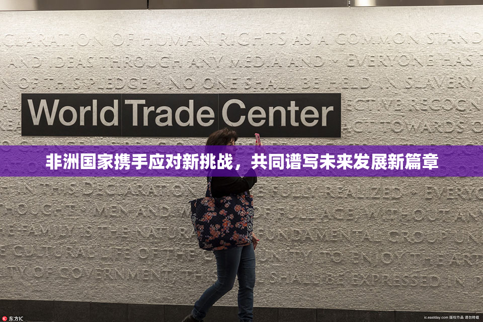 非洲国家携手应对新挑战，共同谱写未来发展新篇章