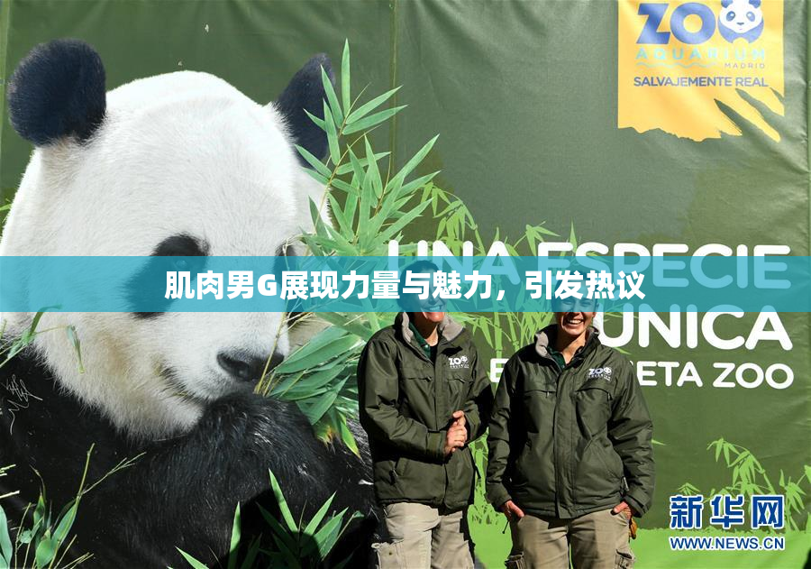 肌肉男G展现力量与魅力，引发热议