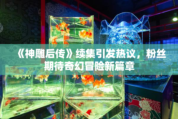 《神雕后传》续集引发热议，粉丝期待奇幻冒险新篇章