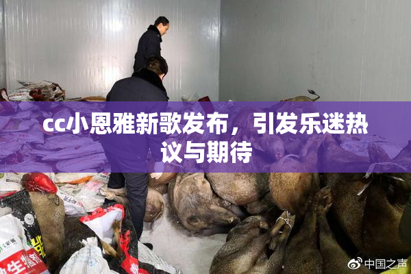 cc小恩雅新歌发布，引发乐迷热议与期待
