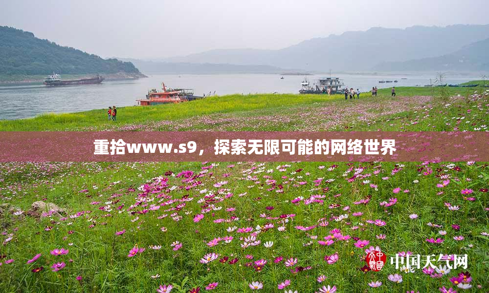 重拾www.s9，探索无限可能的网络世界