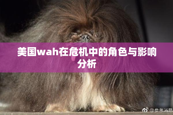 美国wah在危机中的角色与影响分析