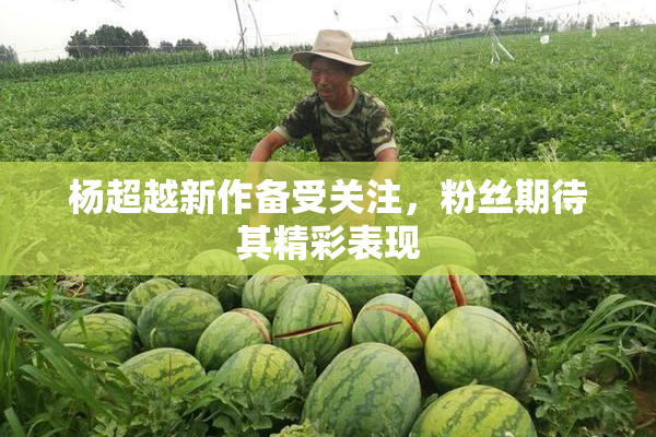 杨超越新作备受关注，粉丝期待其精彩表现