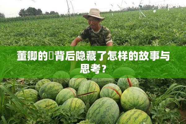 董卿的婬背后隐藏了怎样的故事与思考？