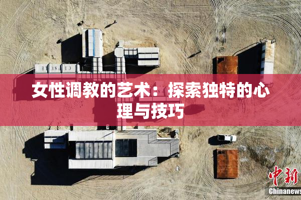 女性调教的艺术：探索独特的心理与技巧