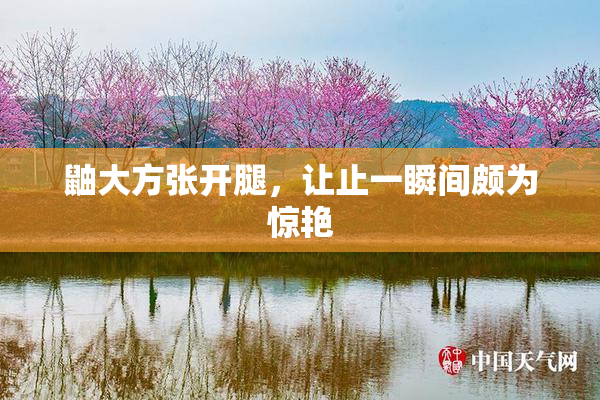 鼬大方张开腿，让止一瞬间颇为惊艳