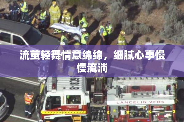 流萤轻舞情意绵绵，细腻心事慢慢流淌