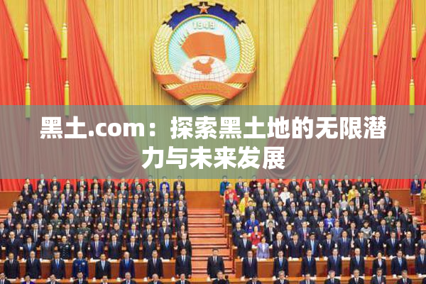 黑土.com：探索黑土地的无限潜力与未来发展