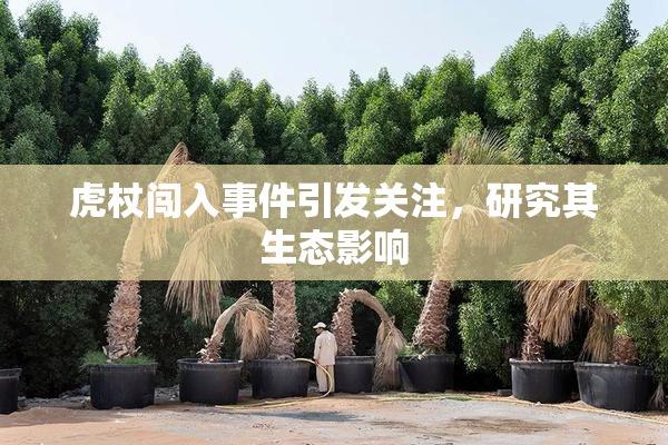 虎杖闯入事件引发关注，研究其生态影响