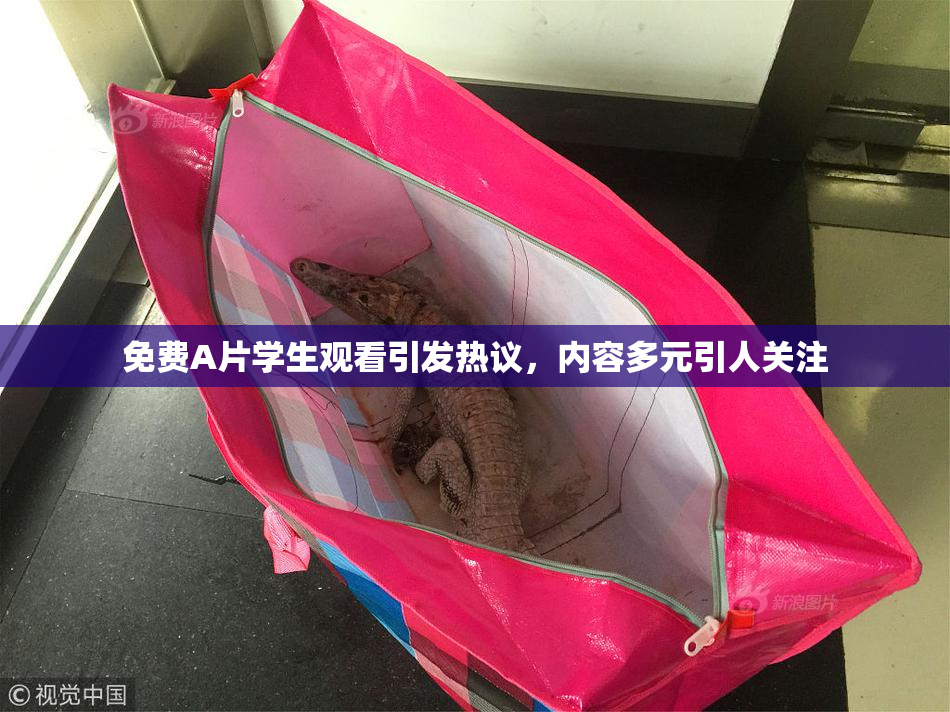 免费A片学生观看引发热议，内容多元引人关注