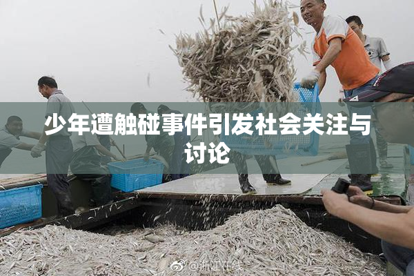 少年遭触碰事件引发社会关注与讨论