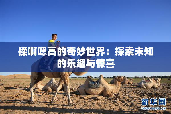 揉啊嗯高的奇妙世界：探索未知的乐趣与惊喜
