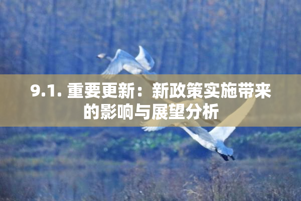 9.1. 重要更新：新政策实施带来的影响与展望分析