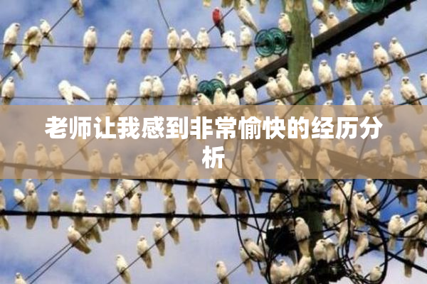 老师让我感到非常愉快的经历分析