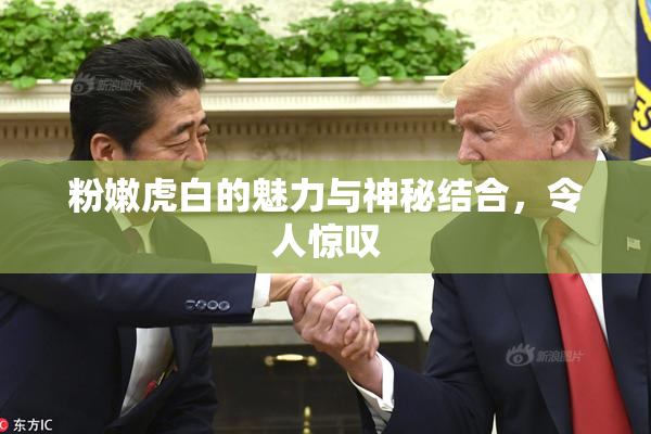 粉嫩虎白的魅力与神秘结合，令人惊叹