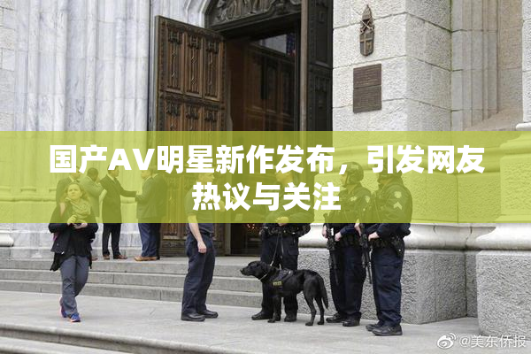 国产AV明星新作发布，引发网友热议与关注