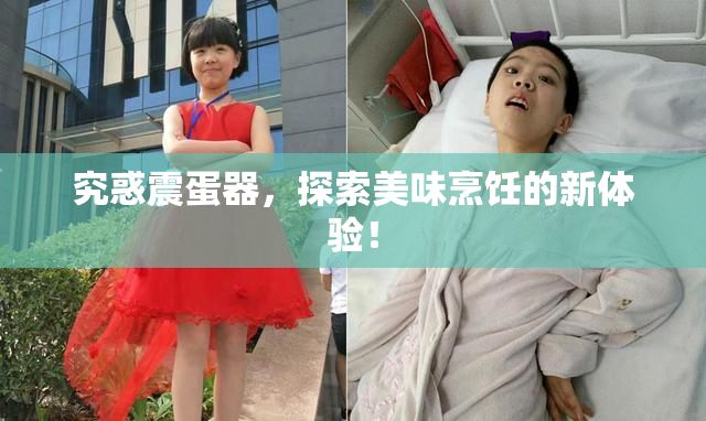 究惑震蛋器，探索美味烹饪的新体验！
