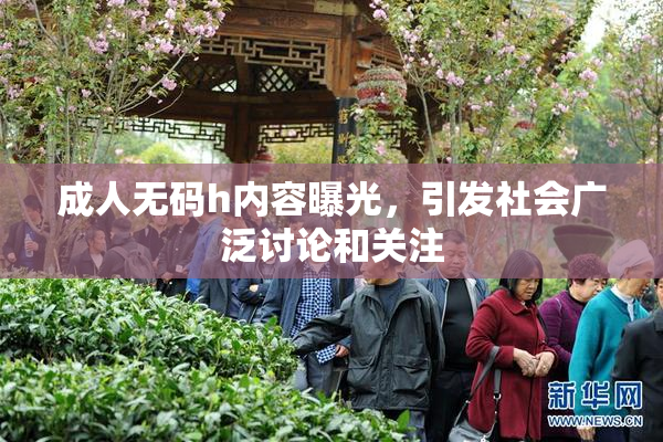 成人无码h内容曝光，引发社会广泛讨论和关注