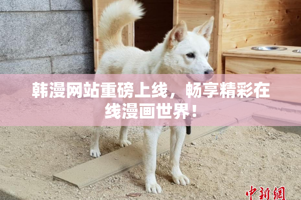韩漫网站重磅上线，畅享精彩在线漫画世界！