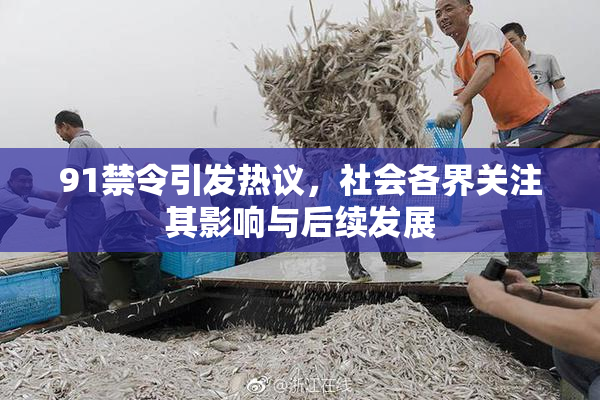 91禁令引发热议，社会各界关注其影响与后续发展
