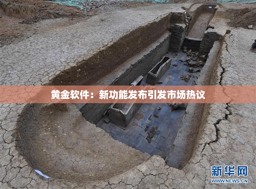 黄金软件：新功能发布引发市场热议