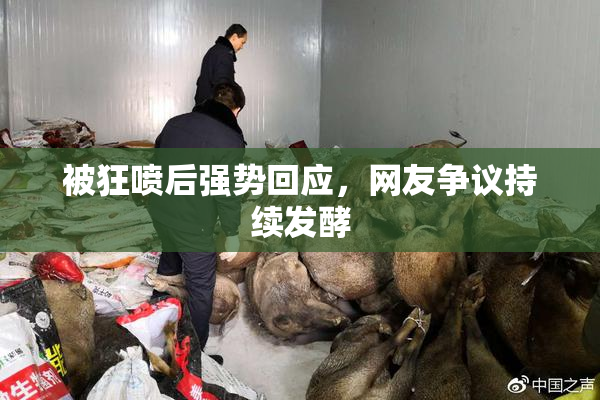 被狂喷后强势回应，网友争议持续发酵