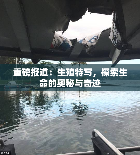 重磅报道：生殖特写，探索生命的奥秘与奇迹