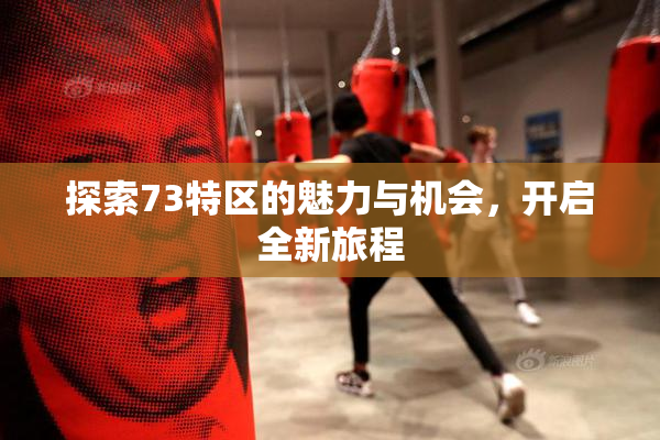 探索73特区的魅力与机会，开启全新旅程