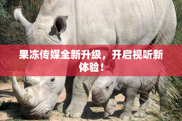 果冻传媒全新升级，开启视听新体验！