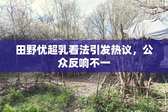 田野忧超乳看法引发热议，公众反响不一