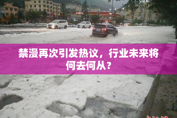 禁漫再次引发热议，行业未来将何去何从？
