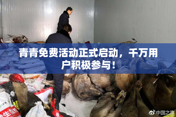 青青免费活动正式启动，千万用户积极参与！