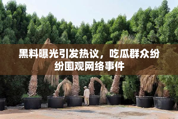 黑料曝光引发热议，吃瓜群众纷纷围观网络事件