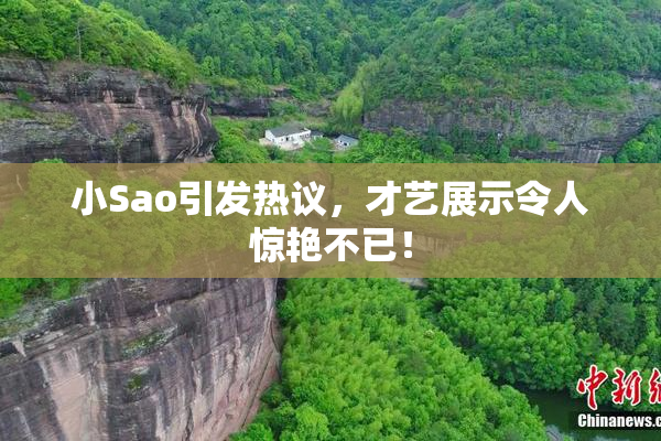 小Sao引发热议，才艺展示令人惊艳不已！