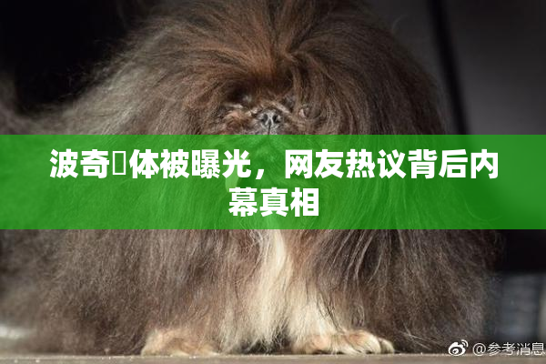 波奇祼体被曝光，网友热议背后内幕真相