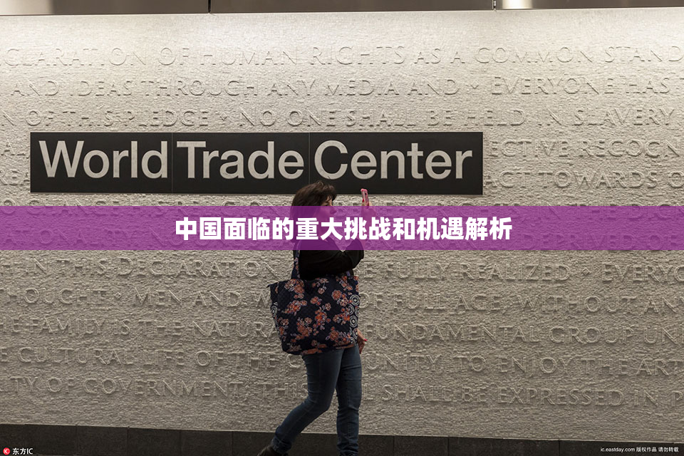 中国面临的重大挑战和机遇解析