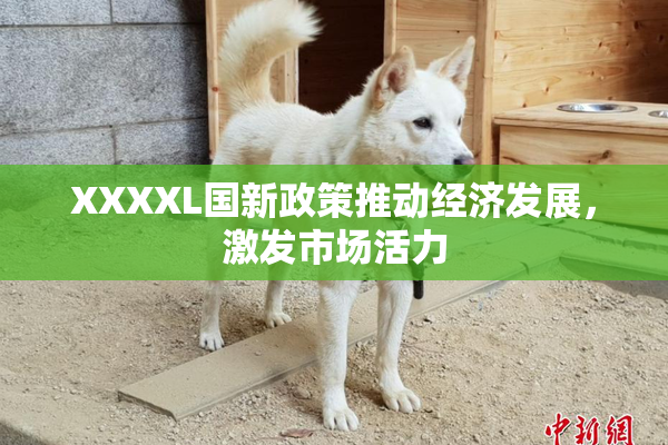 XXXXL国新政策推动经济发展，激发市场活力