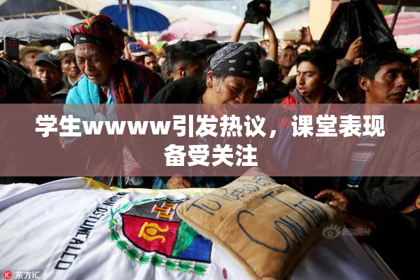 学生wwww引发热议，课堂表现备受关注