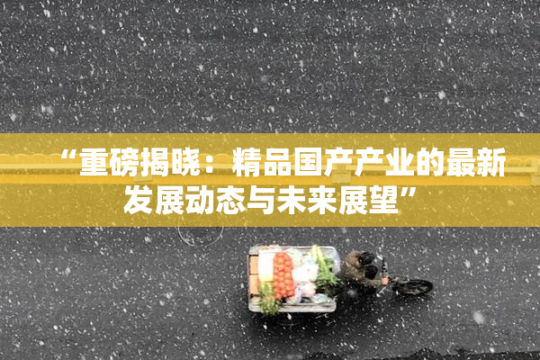 “重磅揭晓：精品国产产业的最新发展动态与未来展望”