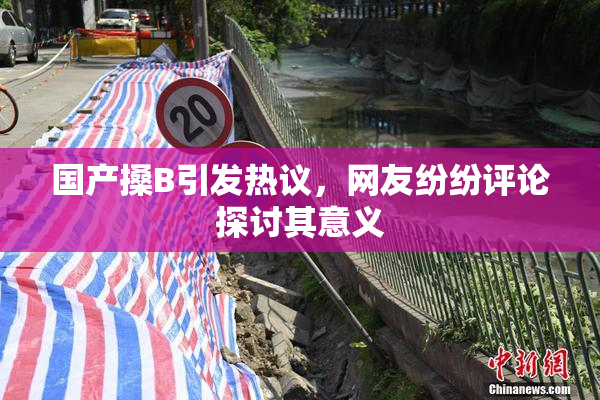 国产搡B引发热议，网友纷纷评论探讨其意义