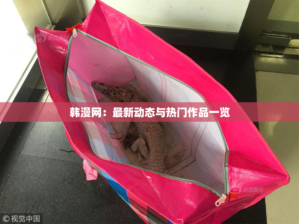 韩漫网：最新动态与热门作品一览