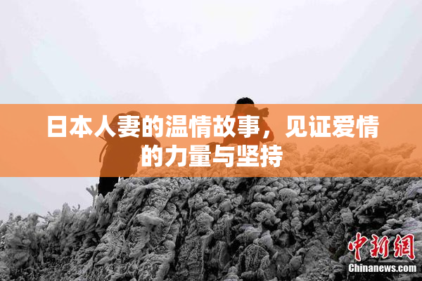 日本人妻的温情故事，见证爱情的力量与坚持