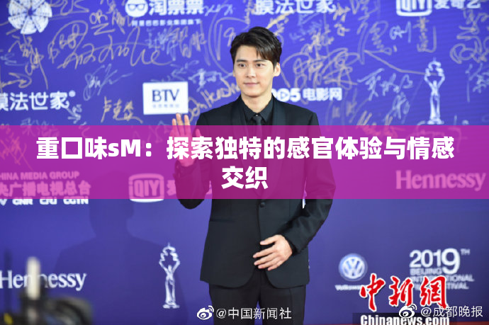 重囗味sM：探索独特的感官体验与情感交织