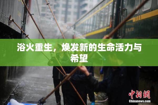 浴火重生，焕发新的生命活力与希望
