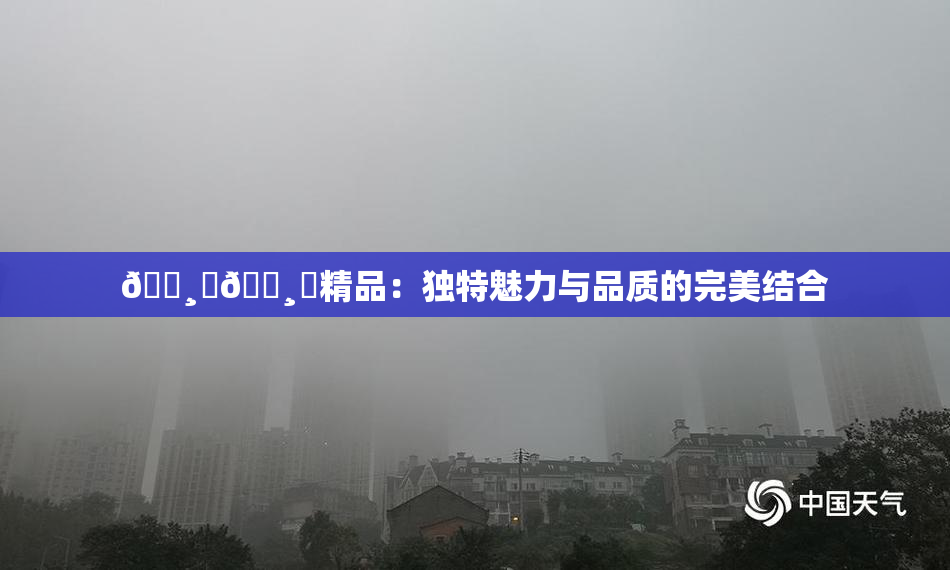 🌸‌🌸‌精品：独特魅力与品质的完美结合