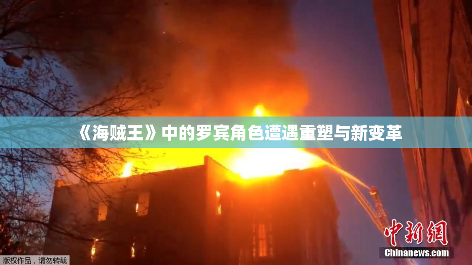 《海贼王》中的罗宾角色遭遇重塑与新变革