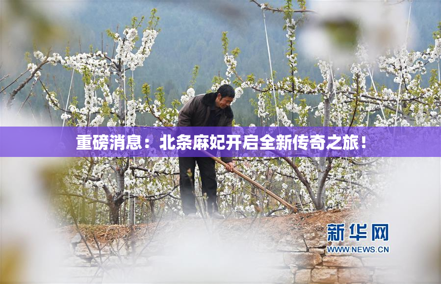 重磅消息：北条麻妃开启全新传奇之旅！